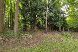 Photo 30- click for photo gallery